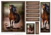 Horse Card Front & Bookmark