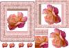 delicate rose and lace