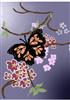 butterfly bloom