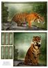 2 Tiger Toppers