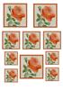 Orange Rose Toppers