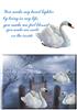 swanlake
