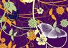 dazzling flutter trails