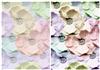 Big Flower bgs faded & bleached