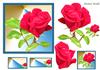 Elegant Rose