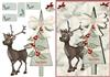 christmas deer             