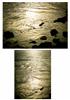 'LIQUID GOLD'  BACKGROUNDS 