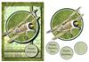 Camo Plane male card + decoupage