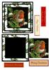 christmas robin holly design sheet square