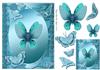 Pretty Blue Butterfly