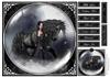 Fantasy Moonlit Horse