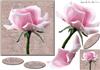 Subtle Pink Elegance