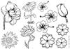 Floral Digital Stamps