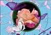 Brilliant Rose and Flutters