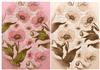 Vintage Poppies Backgrounds