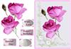 roses plc