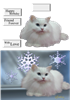 kitty..