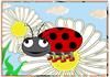 lady bug bloom