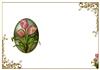 Blank Tulip Insert