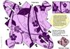 lilac swirls heart top box