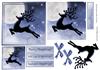 Rudolph Topper