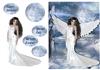 snow land plc