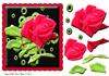 Vibrant Scalloped Red Rose