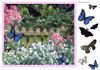 garden flutters