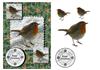 Happy Christmas Robin A5