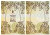 shabby chic floral framed backgrounds