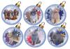 Cat & Dog Bauble Toppers