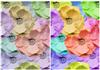 Big Flower bgs Bold & pastel