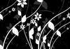 black and white floral vines