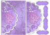 Lilac and silver envelope style-DWJ