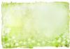 summer meadow background
