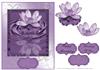 Water lilly in Lilac