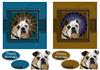 2 square cards  (Dog No 2b)