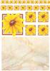 Painted Sunflowerhead
