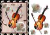 musical roses