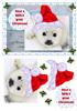 have a sealy great christmas A5 topper