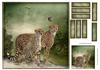 Rivers Edge Cheetah