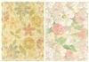 Faded Vintage Floral bgs - 360 DPI