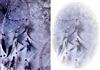 Dreamcatcher Fantasy Backgrounds