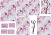 ballerina stacker card plc