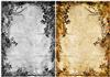 Vintage Floral Frame backgrounds