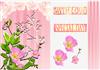 wiild rose plc