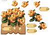 Orange roses