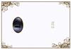 Black Swan Insert