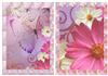 Beautiful Butterfly & Flower Bgs