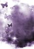 Butterfly Dreams Backing Paper